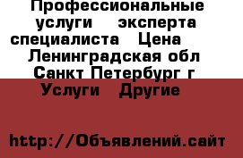 Профессиональные услуги IT эксперта-специалиста › Цена ­ 100 - Ленинградская обл., Санкт-Петербург г. Услуги » Другие   